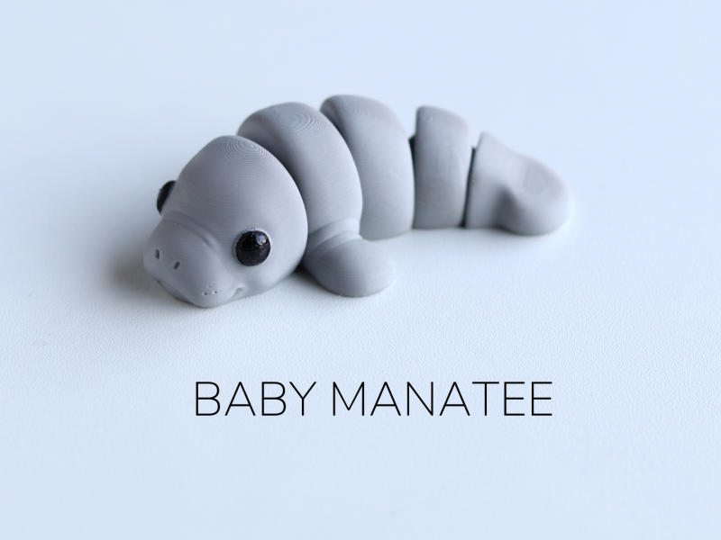 Baby Manatee Keyring